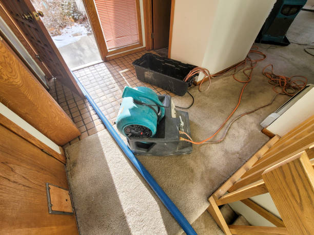 Best Fire Damage Restoration  in Stanton, KY