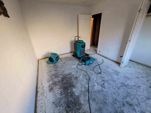 Best Sewage cleanup and water damage restoration  in Stanton, KY