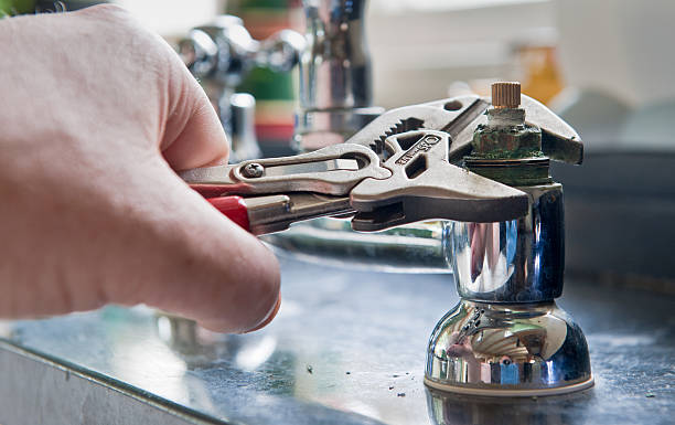 Best Mold removal after water damage  in Stanton, KY