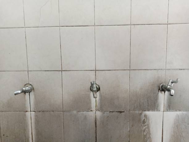 Best Flooded house restoration  in Stanton, KY