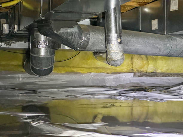 Best Mold removal after water damage  in Stanton, KY