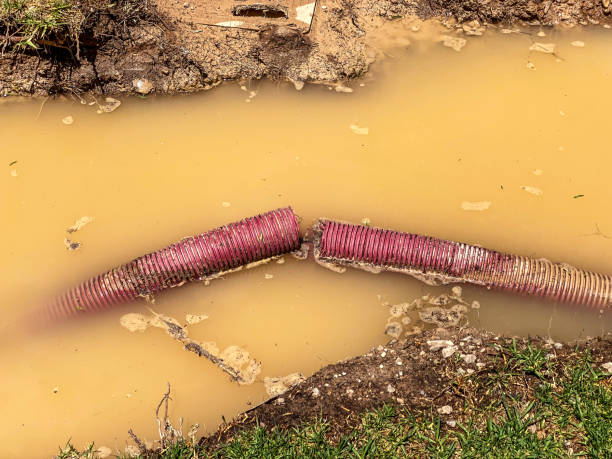 Best Water damage contractors near me  in Stanton, KY