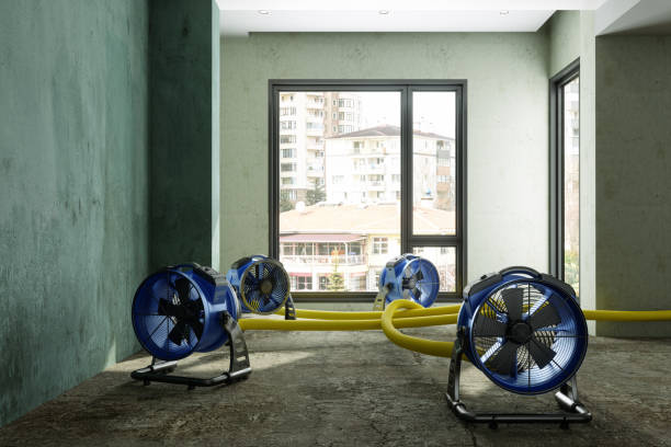 Best Flood restoration services  in Stanton, KY